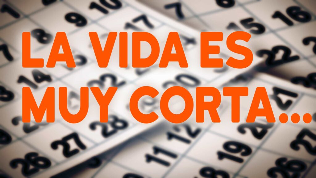 Life's Too Short (es)