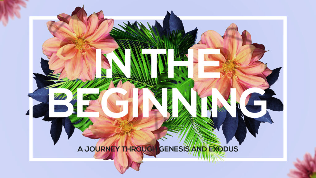 In the Beginning 16x9 English