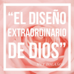 Mey Bolaños