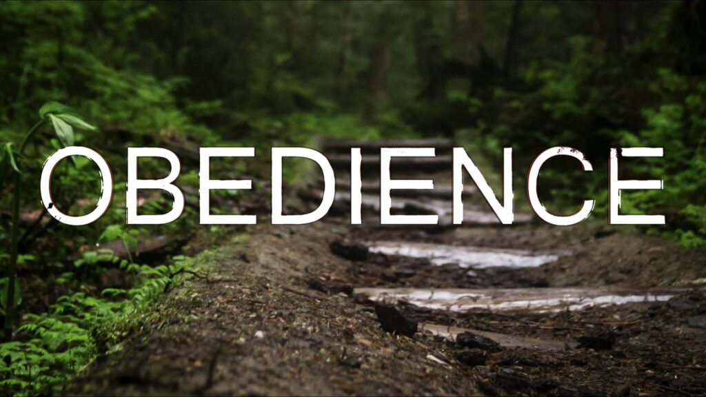 Obedience .001