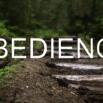 Obedience .001
